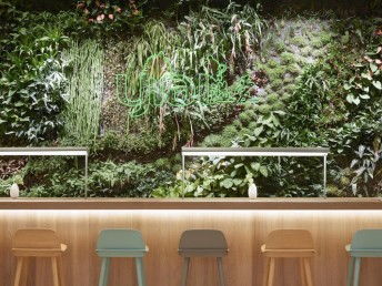 图 商场办公室仿真植物墙 真的植物墙 庭院景观公司 上海鲜花绿植
