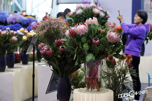 举办中国国际家庭花卉园艺展